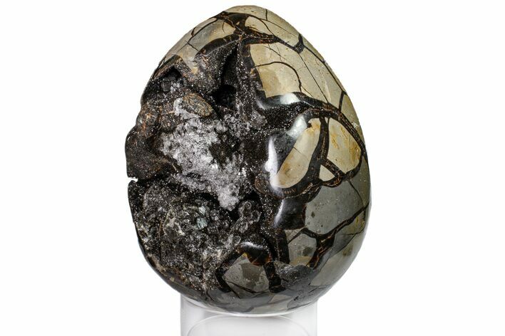 Septarian Dragon Egg Geode - Black Crystals #160227